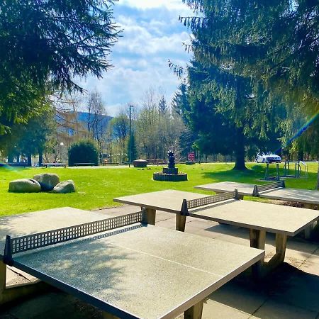 Relaxapartments Abendsonne Im Herzen Des Harzes - Ein El Dorado Fuer Wanderer, Biker Und Ruhesuchende - Mit Sonnigem Balkon Und Platz Fuer Bis Zu 3 Personen Goslar Dış mekan fotoğraf