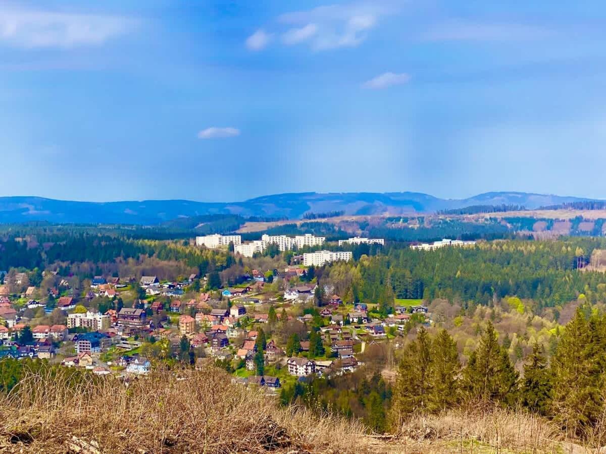 Relaxapartments Abendsonne Im Herzen Des Harzes - Ein El Dorado Fuer Wanderer, Biker Und Ruhesuchende - Mit Sonnigem Balkon Und Platz Fuer Bis Zu 3 Personen Goslar Dış mekan fotoğraf